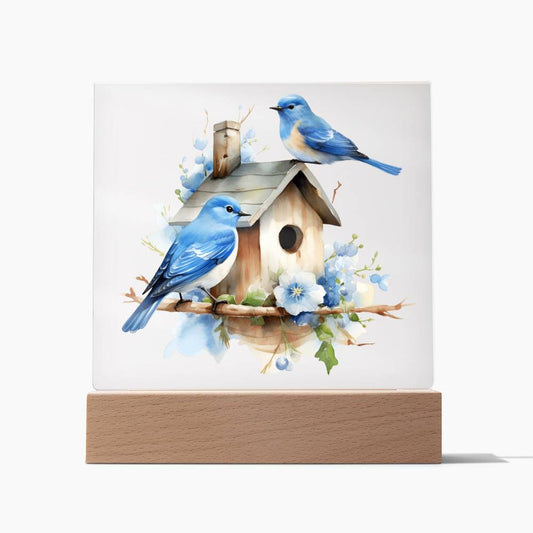 Bluebirds with Birdhouse Square Acrylic Plaque Sign Nightlight (AS-BluebirdsBirdhouse-Clr-S2402) - You Make It Special